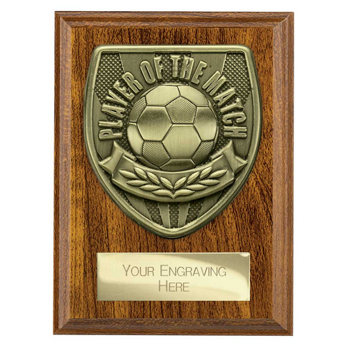 Cobra Plaque Football Trophy | Player of the Match | 125mm | Brown