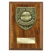 Cobra Plaque Football Trophy | Player of the Match | 150mm | Brown