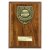 Cobra Plaque Football Trophy | Player of the Match | 175mm | Brown - PN25113D