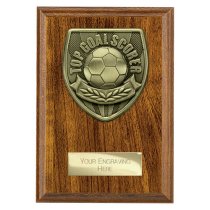 Cobra Plaque Football Trophy | Top Scorer | 150mm | Brown