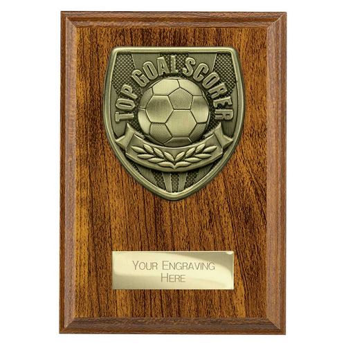 Cobra Plaque Football Trophy | Top Scorer | 150mm | Brown