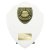 Cobra Shield Football Trophy | Managers Player | 175mm | White - PT25109D