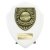 Cobra Shield Football Trophy | Player of the Year | 125mm | White - PT25111B