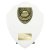 Cobra Shield Football Trophy | Thank you Coach | 175mm | White - PT25112D