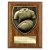 Cobra Plaque Rugby Shirt & Ball Trophy | Walnut | 125mm - PN24207B