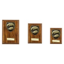 Cobra Plaque Rugby Shirt & Ball Trophy | Walnut | 125mm