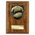 Cobra Plaque Rugby Shirt & Ball Trophy | Walnut | 150mm - PN24207C