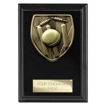 Cobra Plaque Cricket Trophy | Black | 125mm