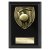 Cobra Plaque Cricket Trophy | Black | 125mm - PL24209B