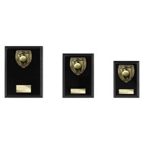 Cobra Plaque Cricket Trophy | Black | 125mm