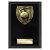 Cobra Plaque Cricket Trophy | Black | 150mm - PL24209C