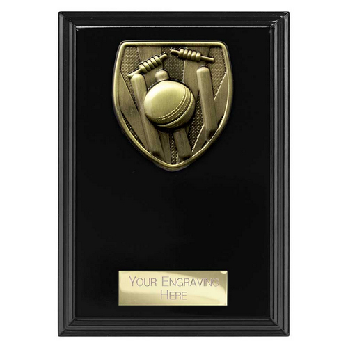 Cobra Plaque Cricket Trophy | Black | 150mm