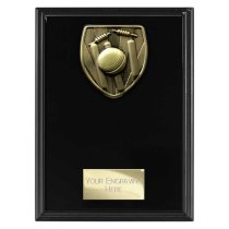 Cobra Plaque Cricket Trophy | Black | 175mm