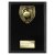 Cobra Plaque Cricket Trophy | Black | 175mm - PL24209D