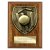 Cobra Plaque Cricket Trophy | Walnut | 125mm - PN24209B