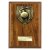 Cobra Plaque Cricket Trophy | Walnut | 175mm - PN24209D