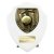 Cobra Shield Cricket Trophy | White | 125mm - PT24209B