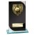 Seismic Cobra Cricket Trophy | Black | 170mm - CR25631B