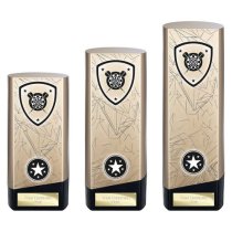 Prime Heavyweight Darts Trophy | Gold | 160mm