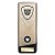 Prime Heavyweight Darts Trophy | Gold | 190mm - PM25443B