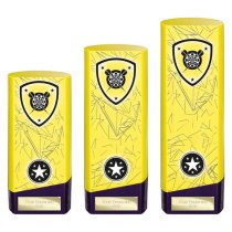 Prime Heavyweight Darts Trophy | Yellow | 160mm