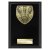 Cobra Plaque Darts Trophy | 150mm - PL24205C