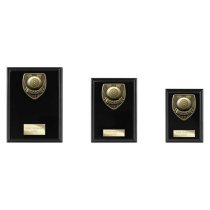 Cobra Plaque Pool Trophy | Black | 125mm