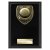 Cobra Plaque Pool Trophy | Black | 150mm - PL24204C