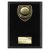 Cobra Plaque Pool Trophy | Black | 175mm - PL24204D