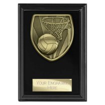 Cobra Plaque Netball Trophy | Black | 125mm