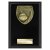 Cobra Plaque Netball Trophy | Black | 150mm - PL25137C