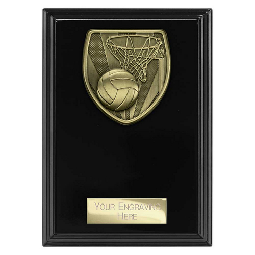 Cobra Plaque Netball Trophy | Black | 150mm