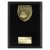 Cobra Plaque Netball Trophy | Black | 175mm - PL25137D