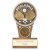 Ikon Tower Pickleball Trophy Plaque | 110mm - PA25226A