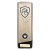 Prime Heavyweight Swimming Trophy | Gold | 220mm - PM25450C