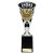 Cobra Star Swimming Trophy | Black & Silver | 255mm - TR25138C