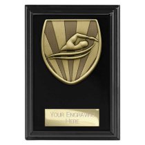 Cobra Plaque Swimming Trophy | Black | 125mm