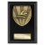 Cobra Plaque Swimming Trophy | Black | 125mm - PL25138B