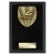 Cobra Plaque Swimming Trophy | Black | 150mm - PL25138C