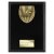 Cobra Plaque Swimming Trophy | Black | 175mm - PL25138D