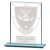 Millennium Clay Pigeon Glass Trophy | 110mm - CR25223A