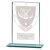 Millennium Clay Pigeon Glass Trophy | 125mm - CR25223B