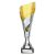 Predator Trophy | Silver & Gold | 230mm - TR25545A