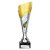 Predator Trophy | Silver & Gold | 240mm - TR25545B