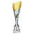 Predator Tube Trophy | Silver & Gold | 260mm - TR25584A