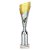 Predator Tube Trophy | Silver & Gold | 310mm - TR25584C