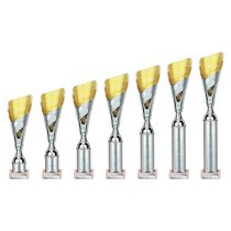 Predator Tube Trophy | Silver & Gold | 310mm