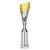 Predator Tube Trophy | Silver & Gold | 335mm - TR25584D