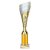 Predator Tube Trophy | Gold & Silver | 310mm - TR25589C