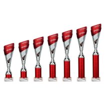 Predator Tube Trophy | Red & Silver | 260mm